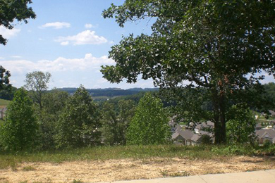 Lot 3 Homesite